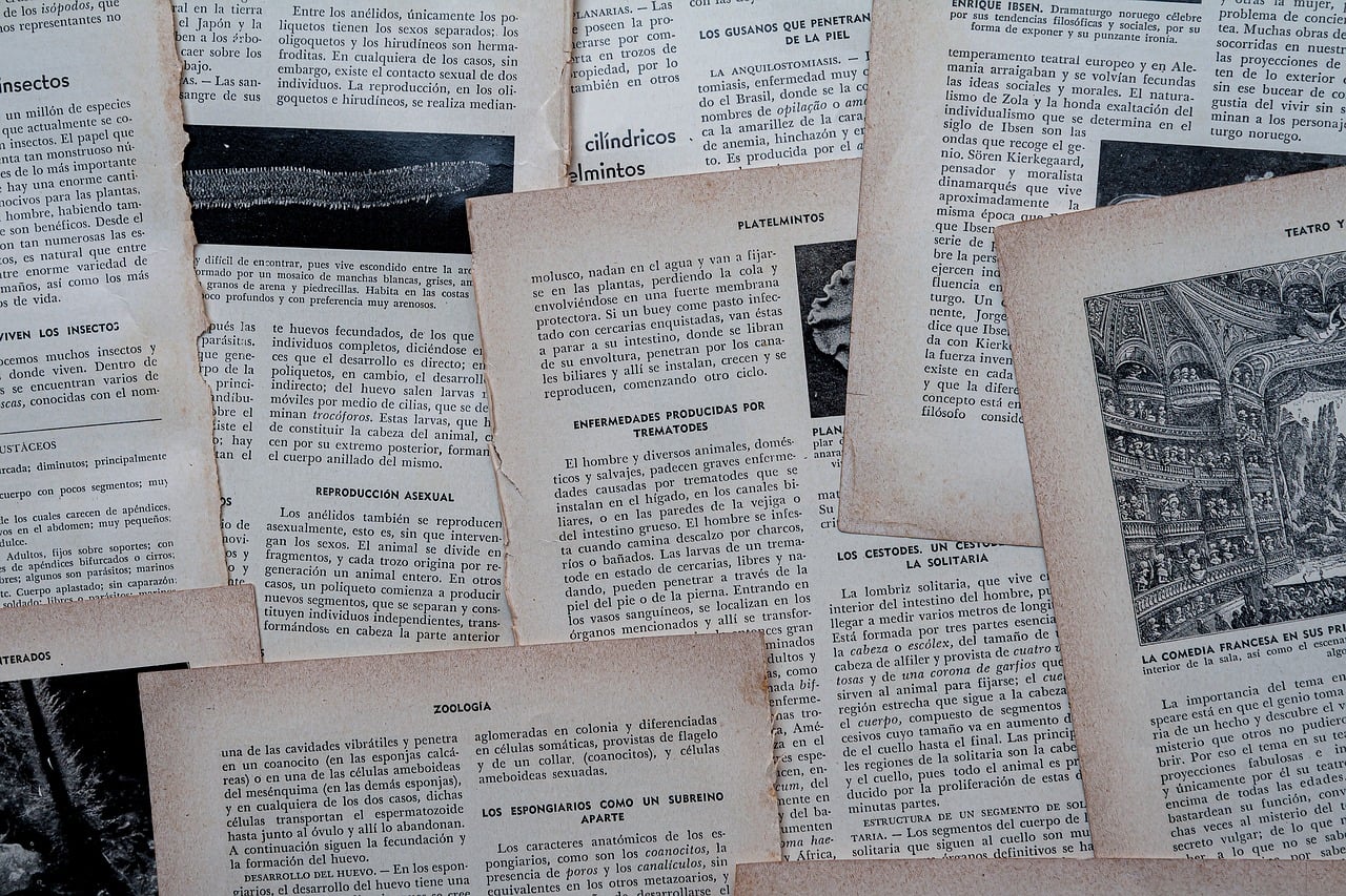 Paper Choices for Beginners: Copy Paper, Kraft, and Beyond