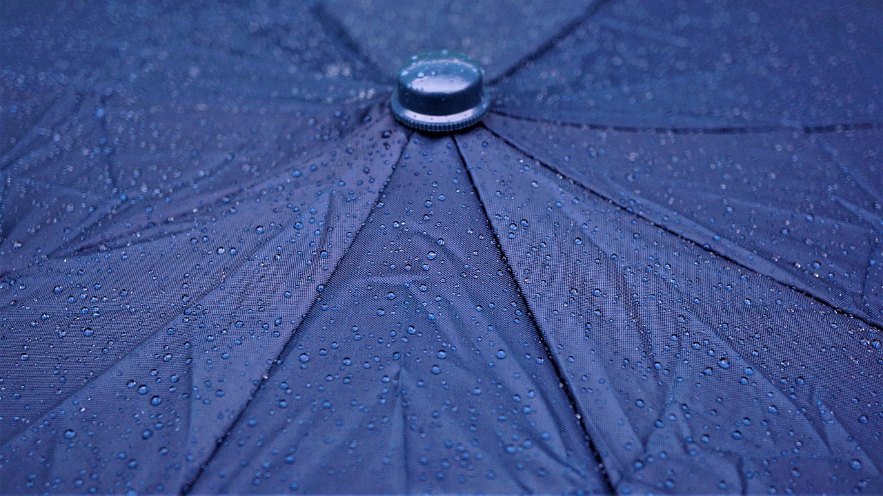 Wet Folding Explained: When and Why to Dampen Your Paper